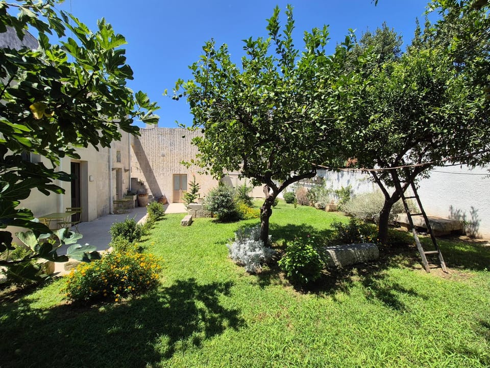 Property building, Spring, Day, Natural landscape, Garden, Garden view