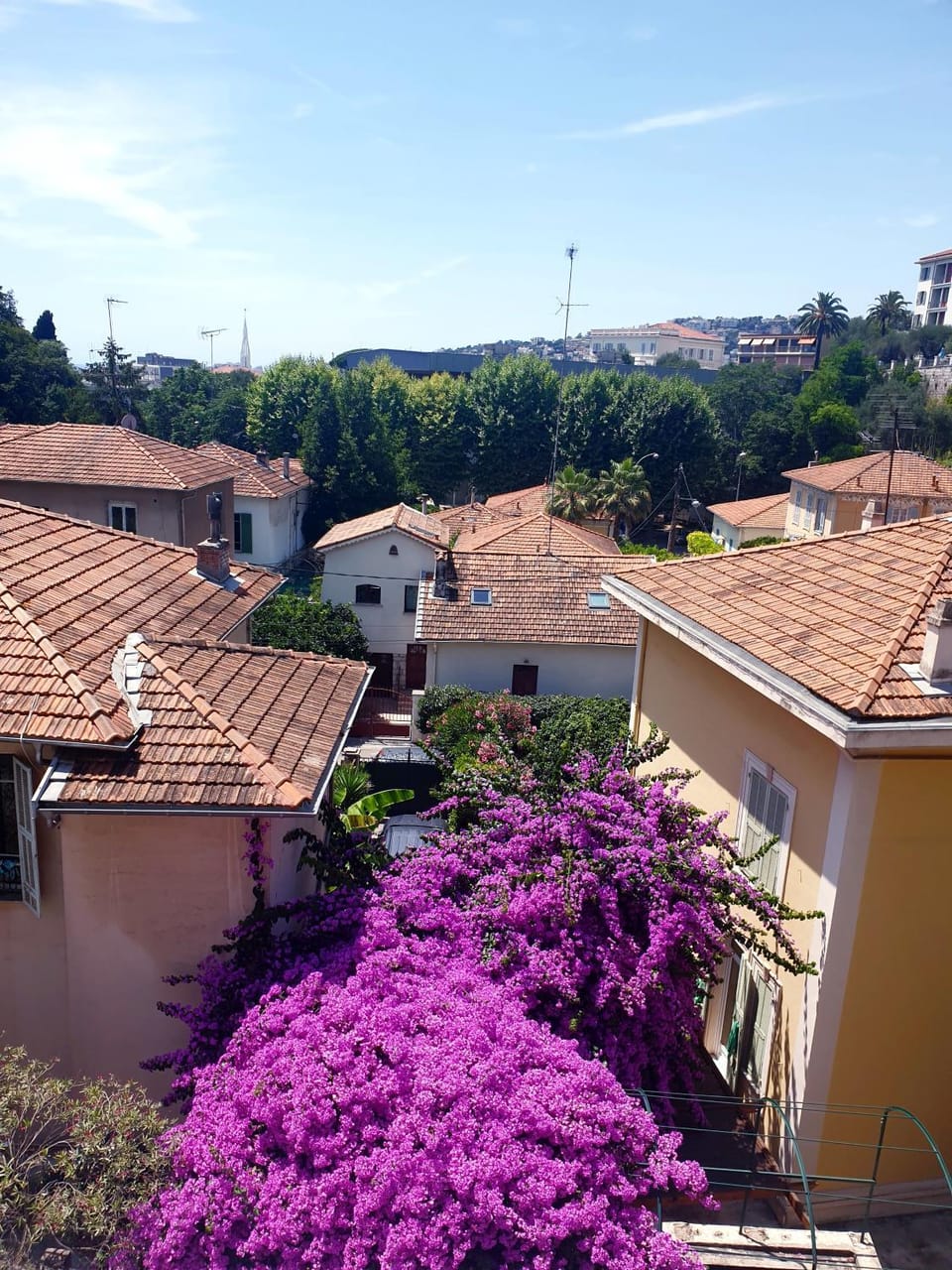 Neighbourhood, Natural landscape, Bird's eye view, City view, Street view
