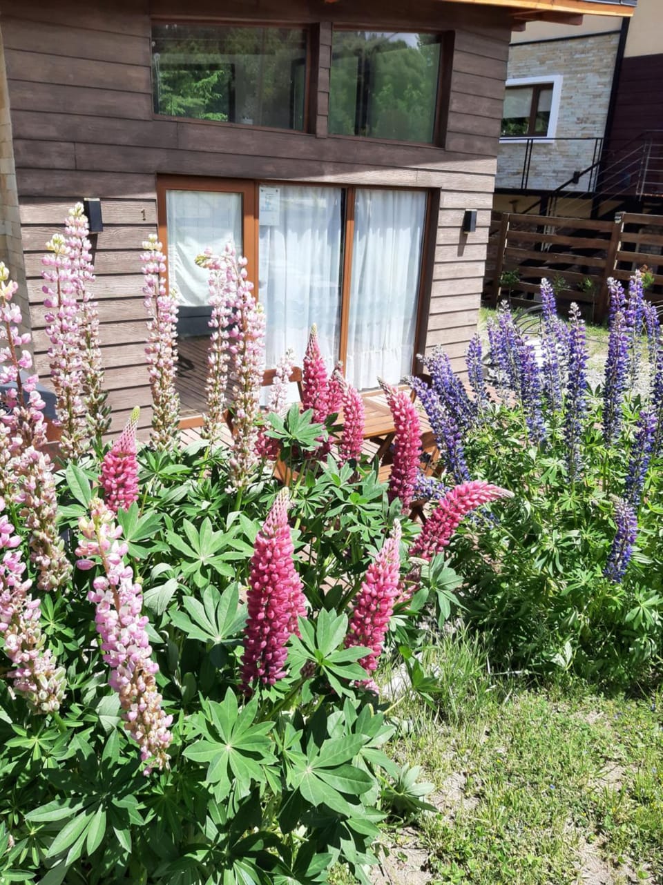 Complejo Peñiwen Chalet in Esquel