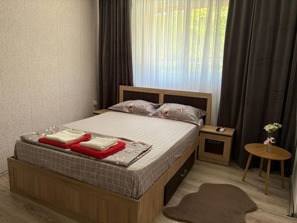 Casa Dorina 2 Vacation rental in Constanța County