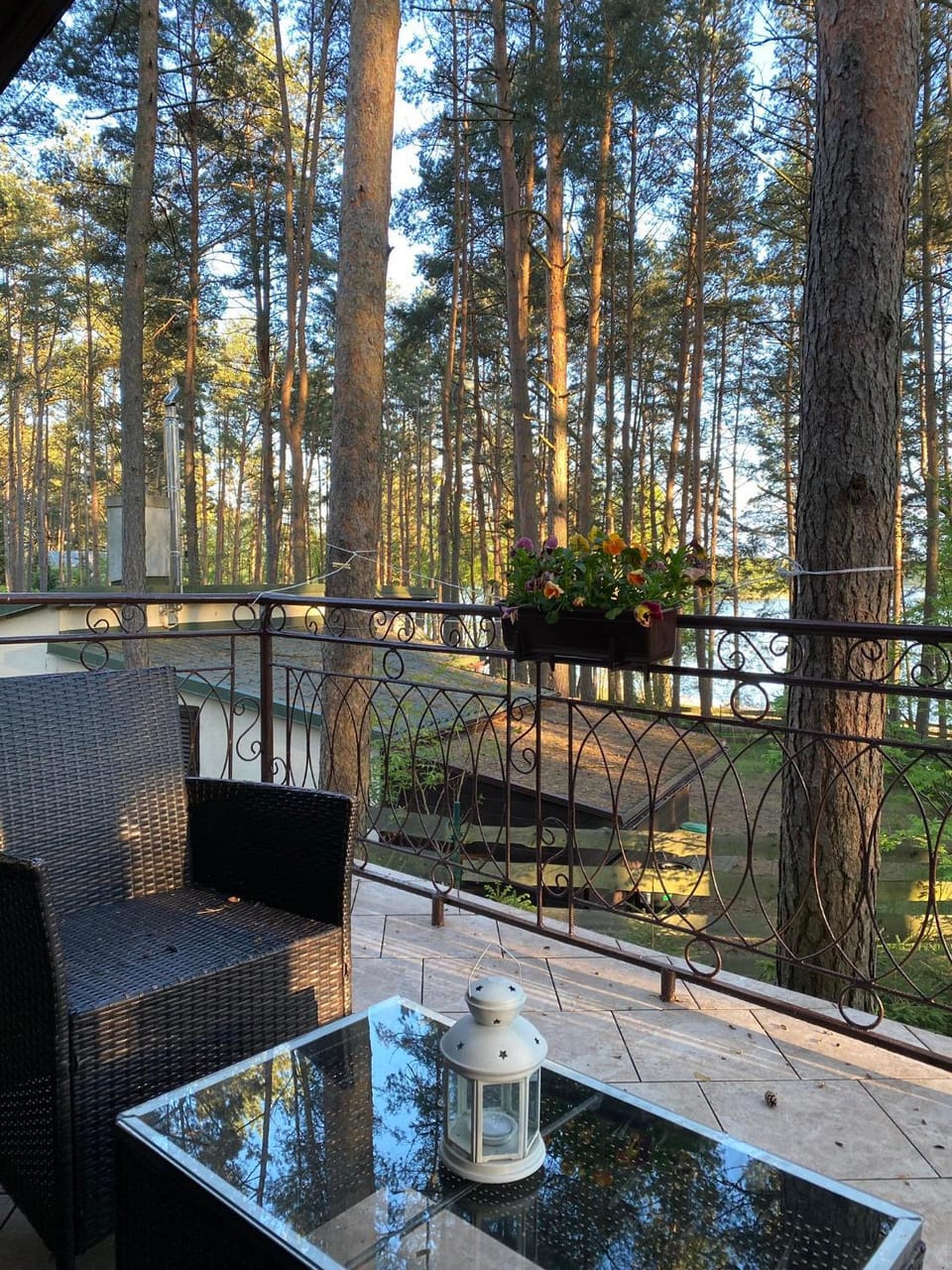 View (from property/room)