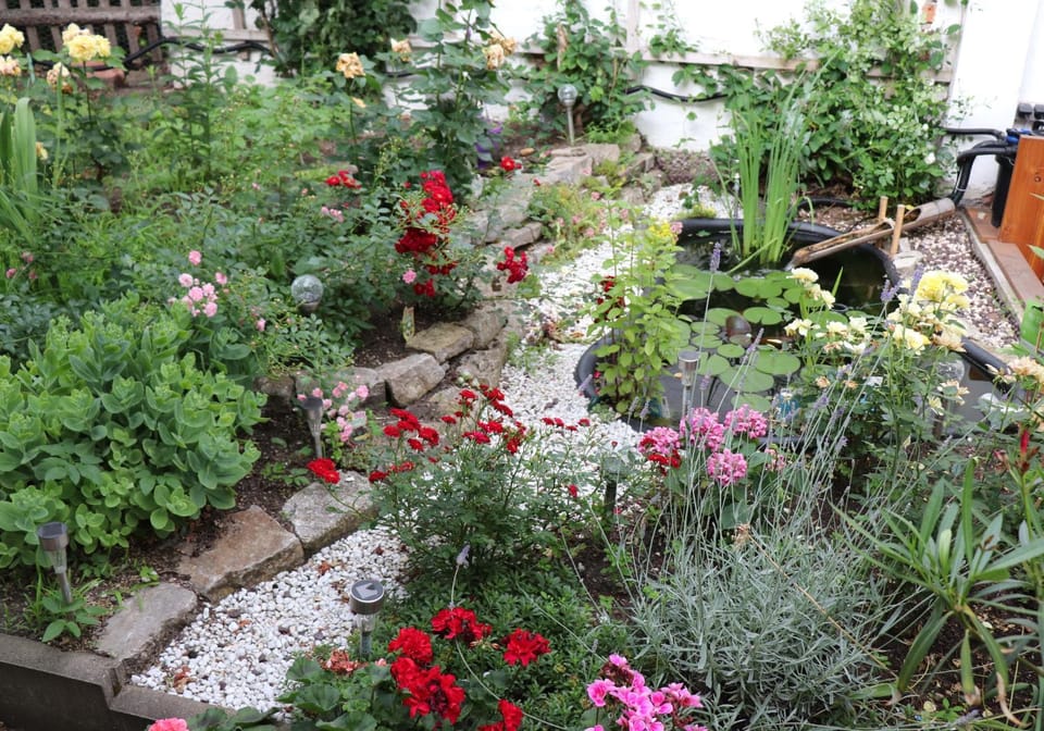 Garden, Garden view, Inner courtyard view