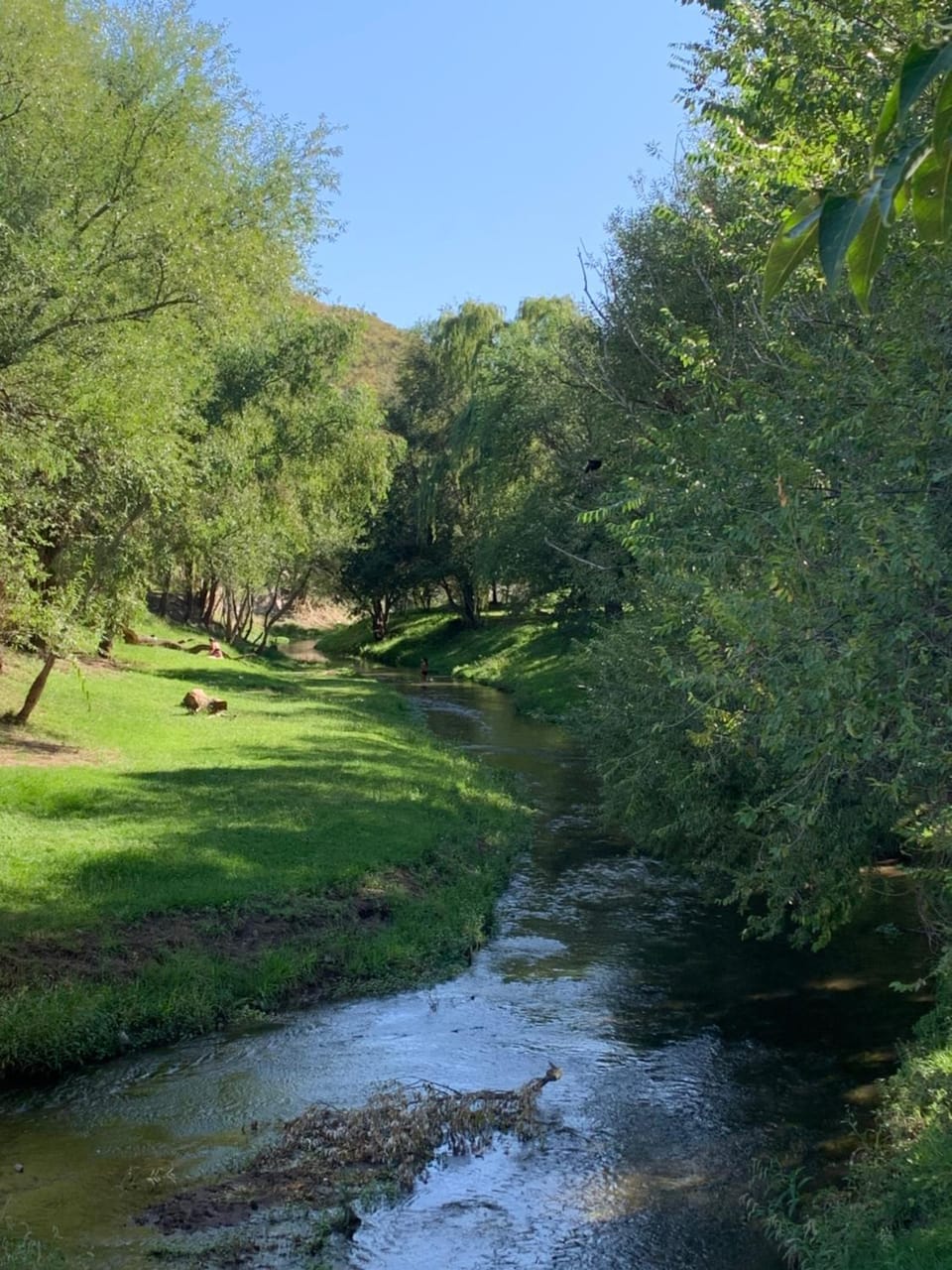 Natural landscape