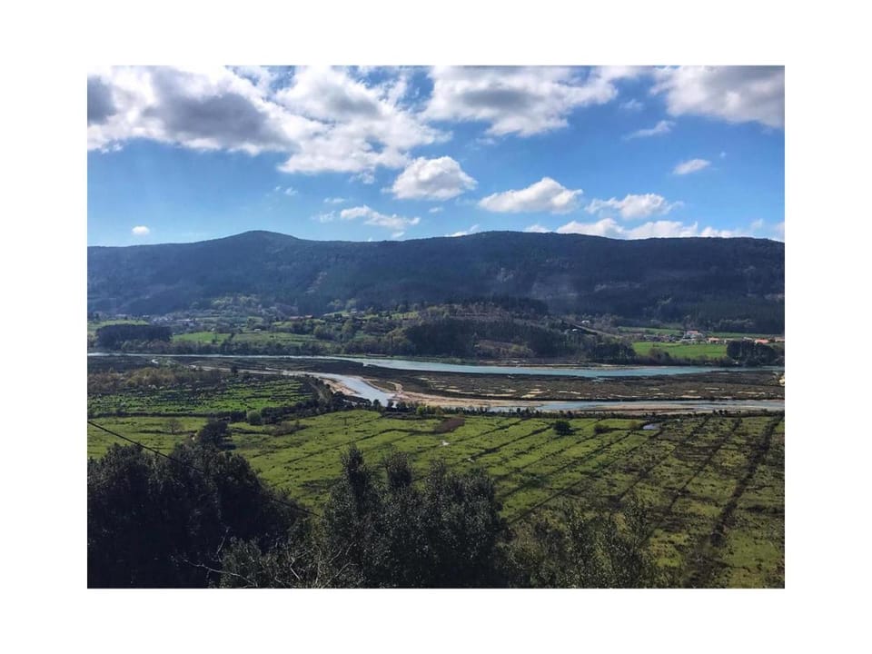 River view