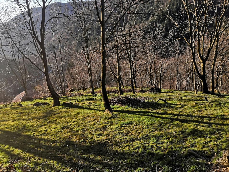 Natural landscape