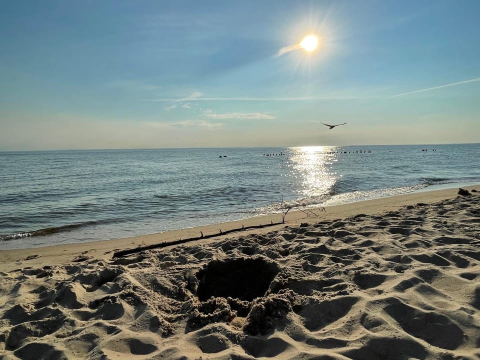 Apartament Seagull 30m2 (300 meters to the sea) Apartment in Pomeranian Voivodeship