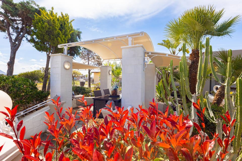Spring, Garden, Garden view
