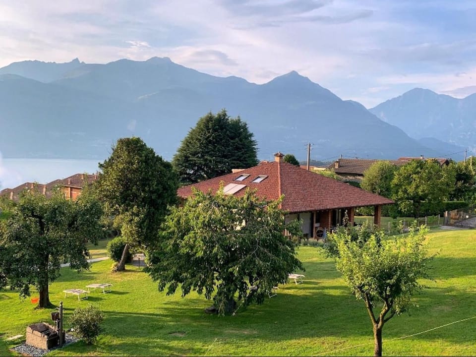 Garden, Garden view
