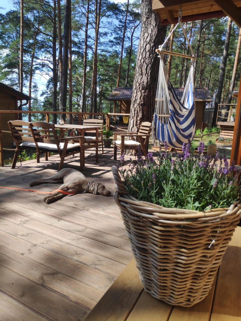 Zakątek Wdzydze z widokiem na jezioro -domek nr 19 House in Pomeranian Voivodeship