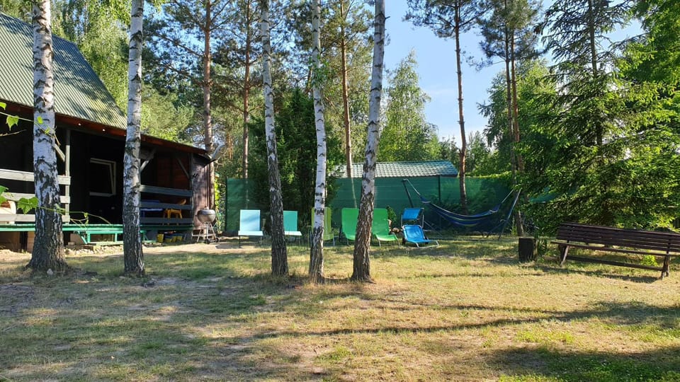 Patio, Spring, Day, Natural landscape, Summer, Children play ground, Garden, Seating area, Garden view