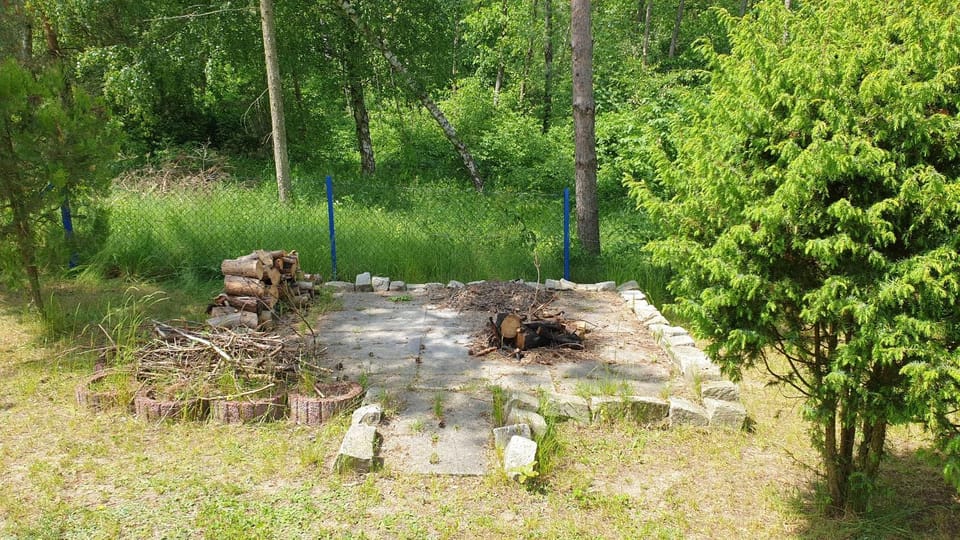Spring, Day, Natural landscape, BBQ facilities, Garden, Garden view
