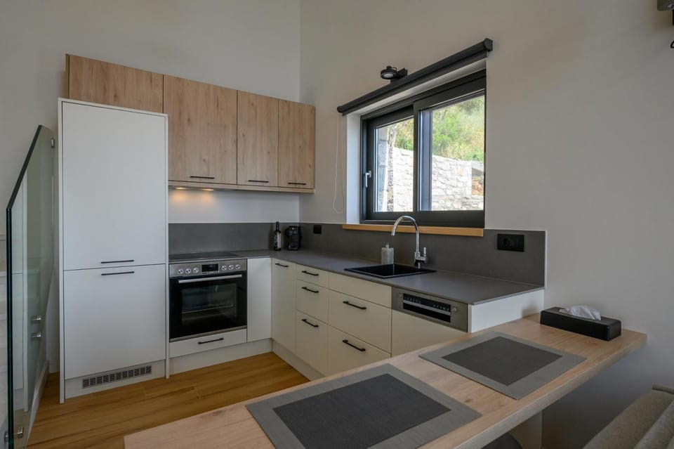 Kitchen or kitchenette, dishwasher, oven