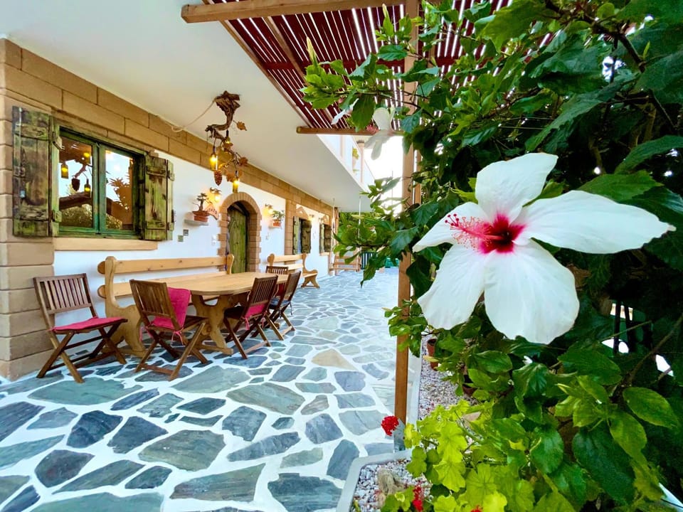Property building, Patio
