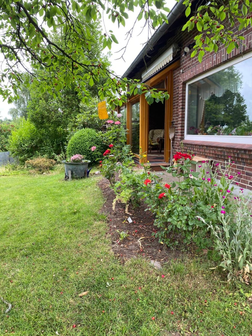 Ferienwohnung Wegener Apartment in Mecklenburg-Vorpommern, Germany