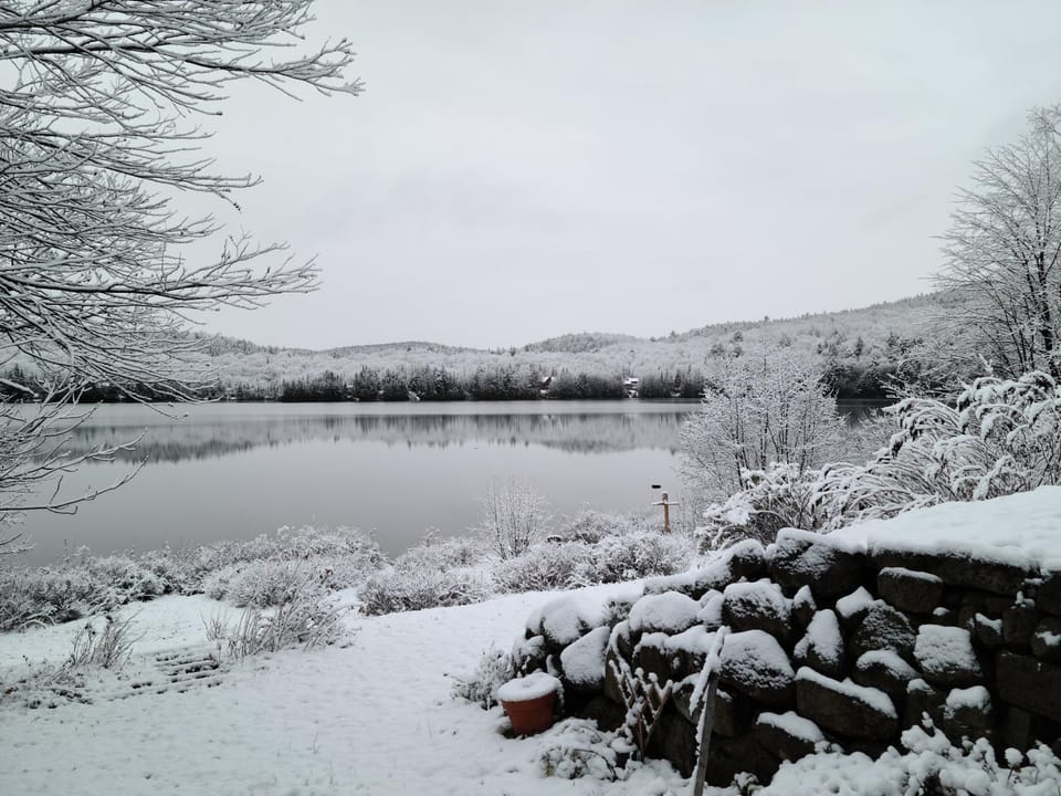 Winter, Lake view