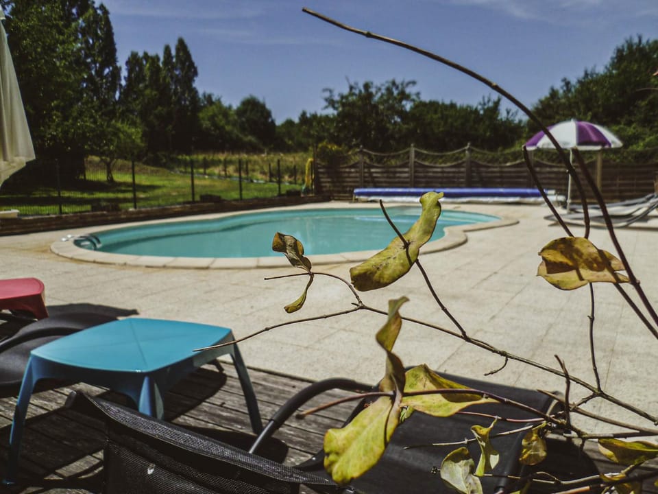 Swimming pool, Swimming pool