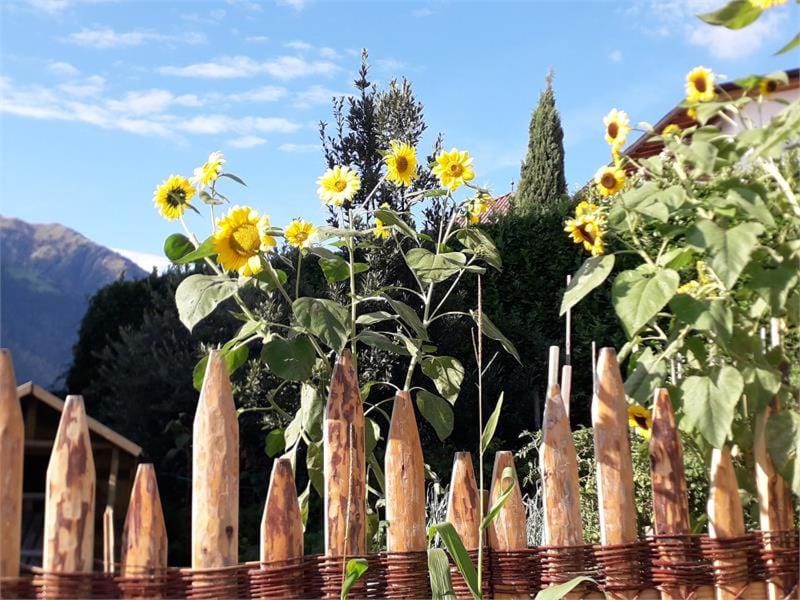 Haus Gassbauer Bed and Breakfast in Trentino-South Tyrol