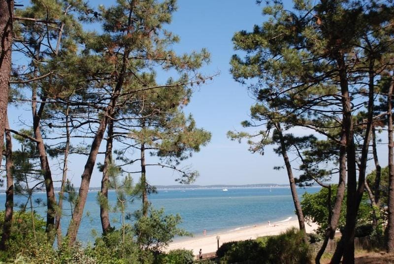Pyla sur Mer - Appartement terrasse sous les pins - 200m de la plage Apartment in La Teste-de-Buch