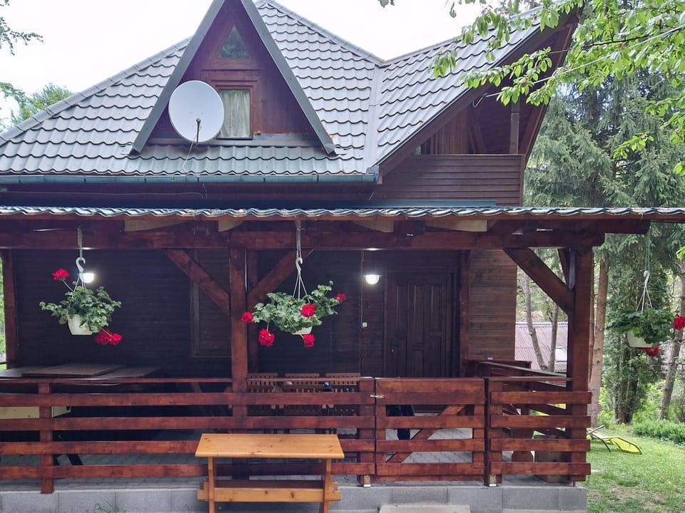 Cabana Anita House in Romania