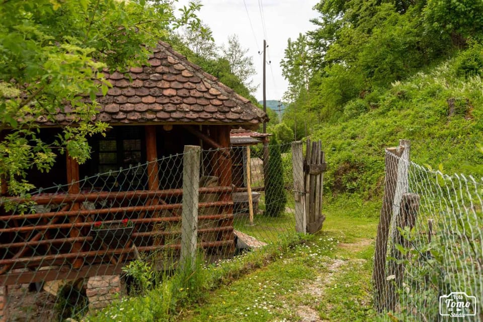 Facade/entrance, Garden