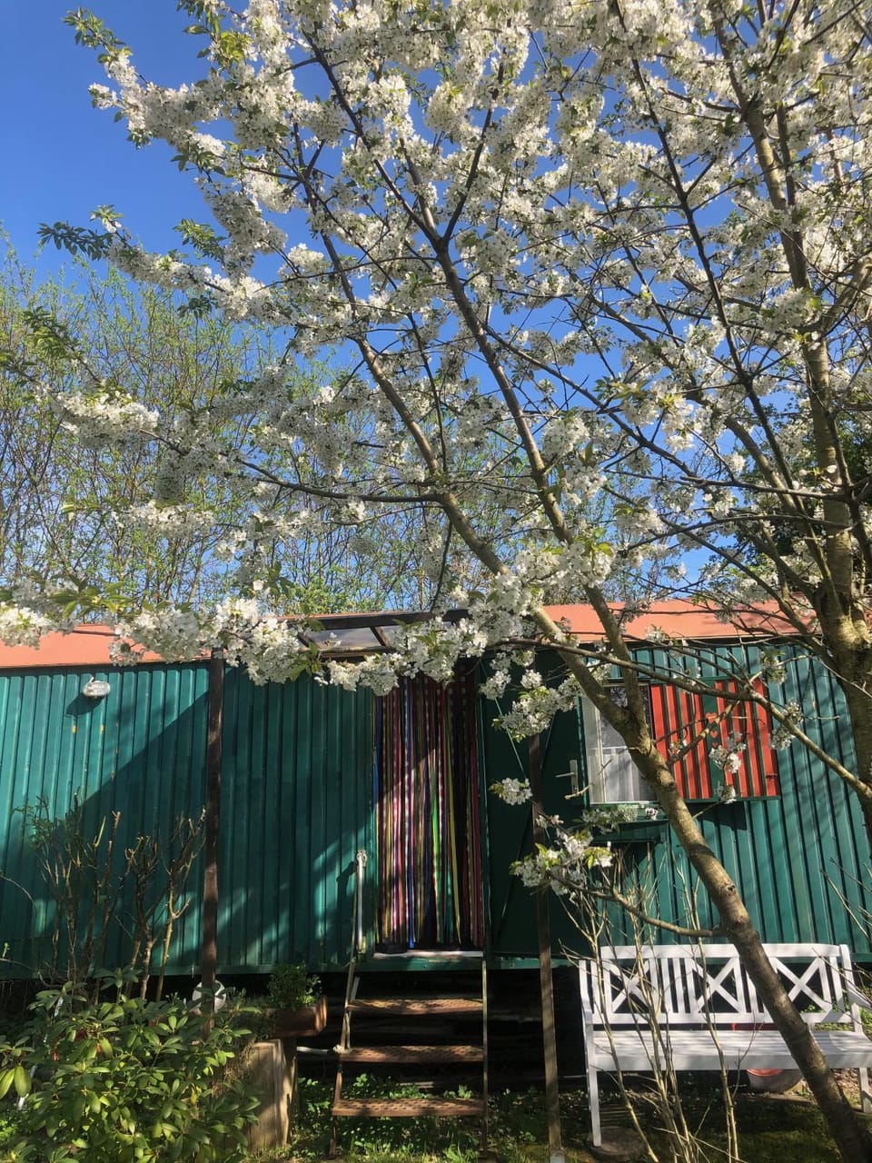 Spring, Day, Garden, Garden view