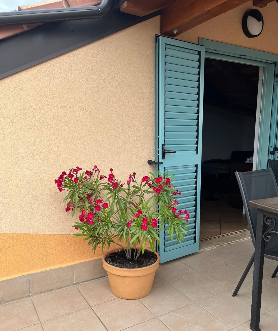 Alavanda Poreč - app s bazenom Apartment in Istria County