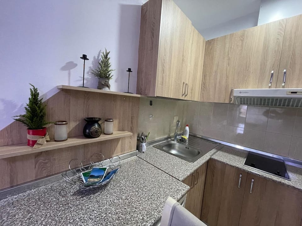 Kitchen or kitchenette, dishwasher, stove