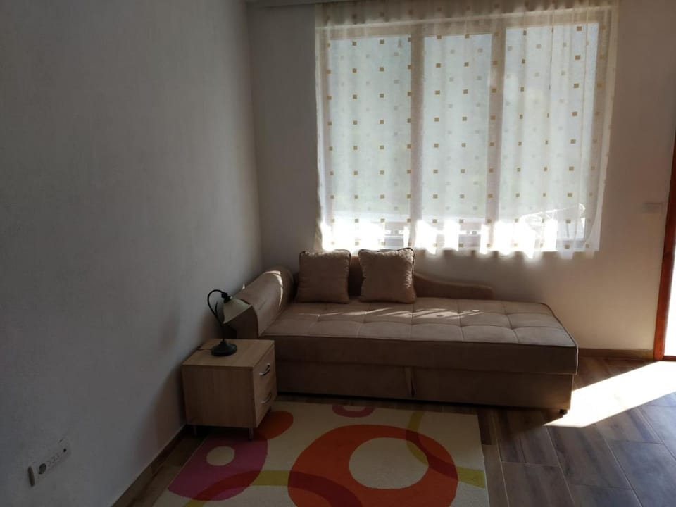 Apartmani Tara i Zabojsko Dobrilovina Bed and Breakfast in Zlatibor District, Serbia
