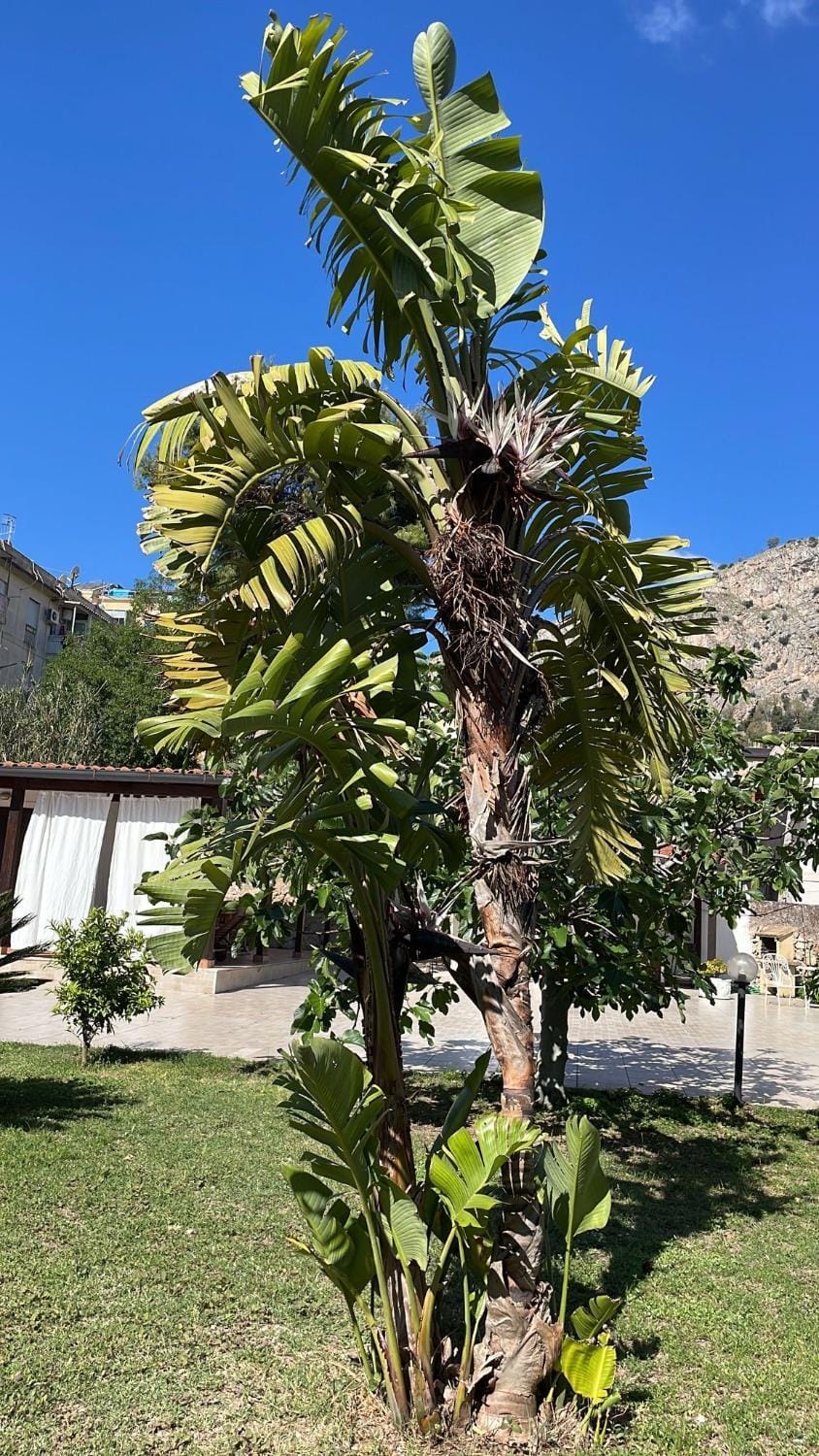 Campofelice Casa vacanza House in Palermo
