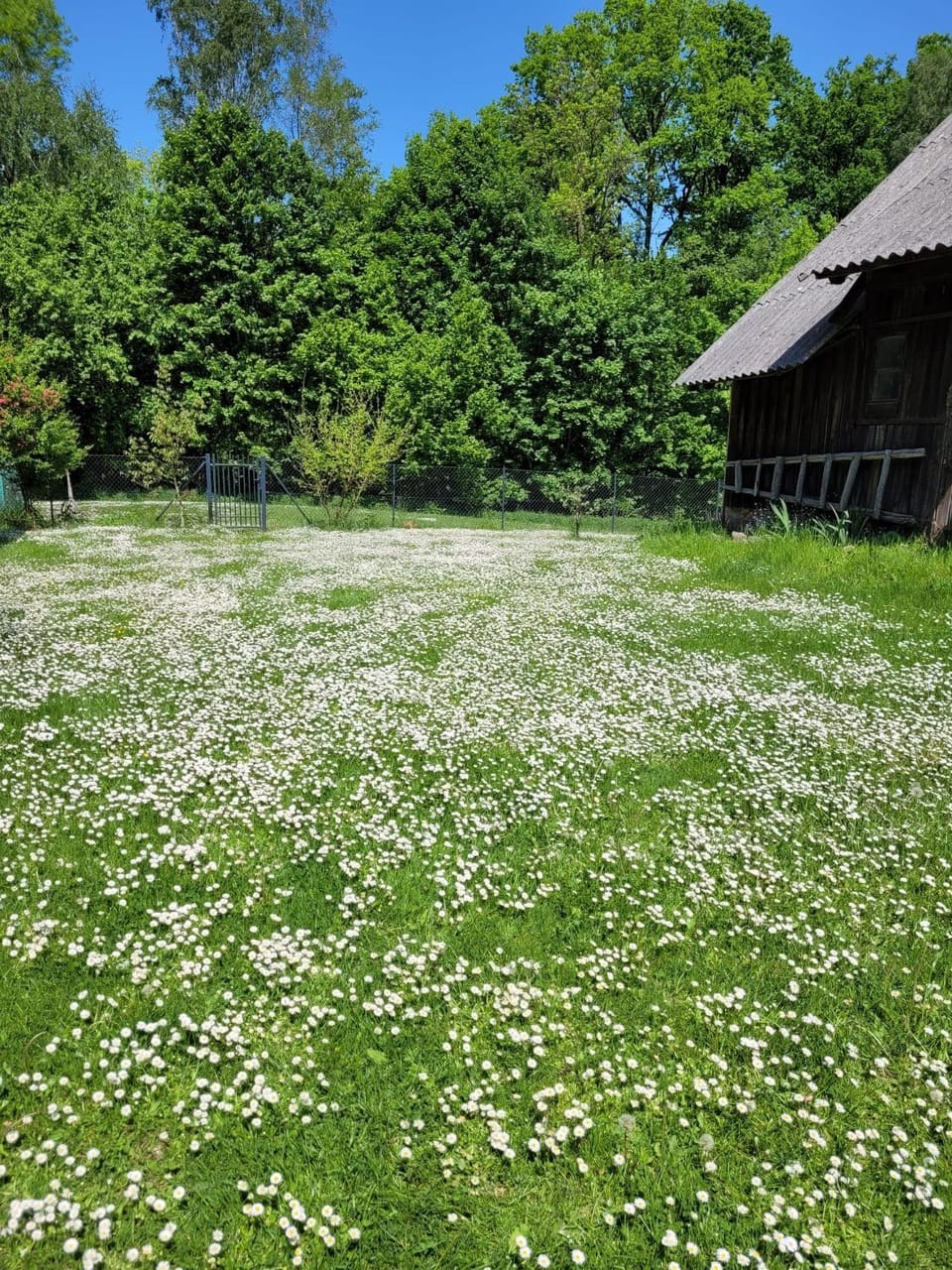 Osada Boczki Bed and Breakfast in Lithuania