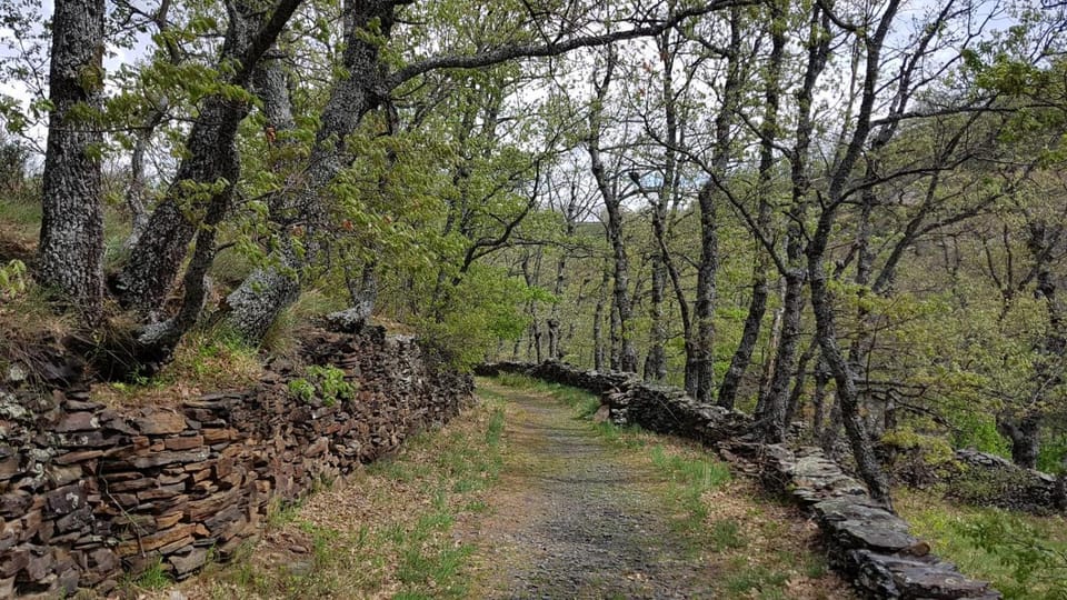 Natural landscape