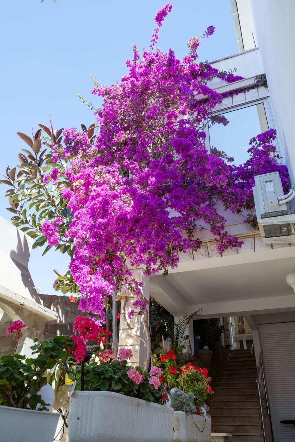 Property building, Garden, Balcony/Terrace, Garden view