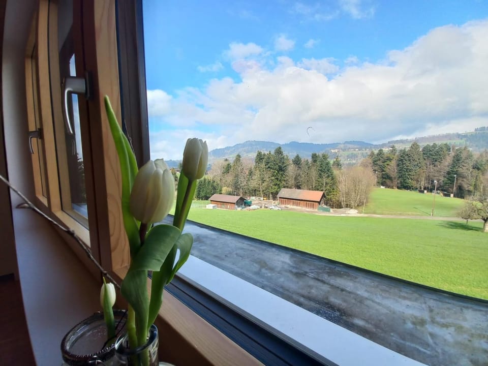 Spring, Day, Natural landscape, View (from property/room), Balcony/Terrace