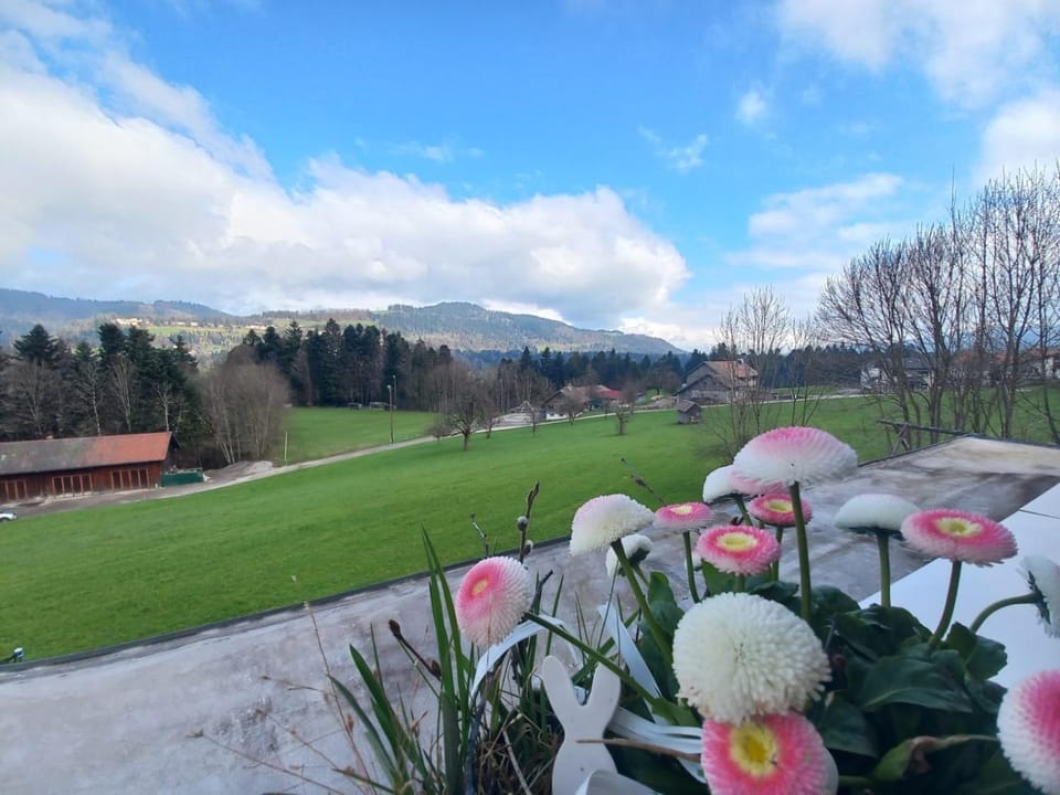Spring, Day, Natural landscape, Garden, Garden view, Mountain view