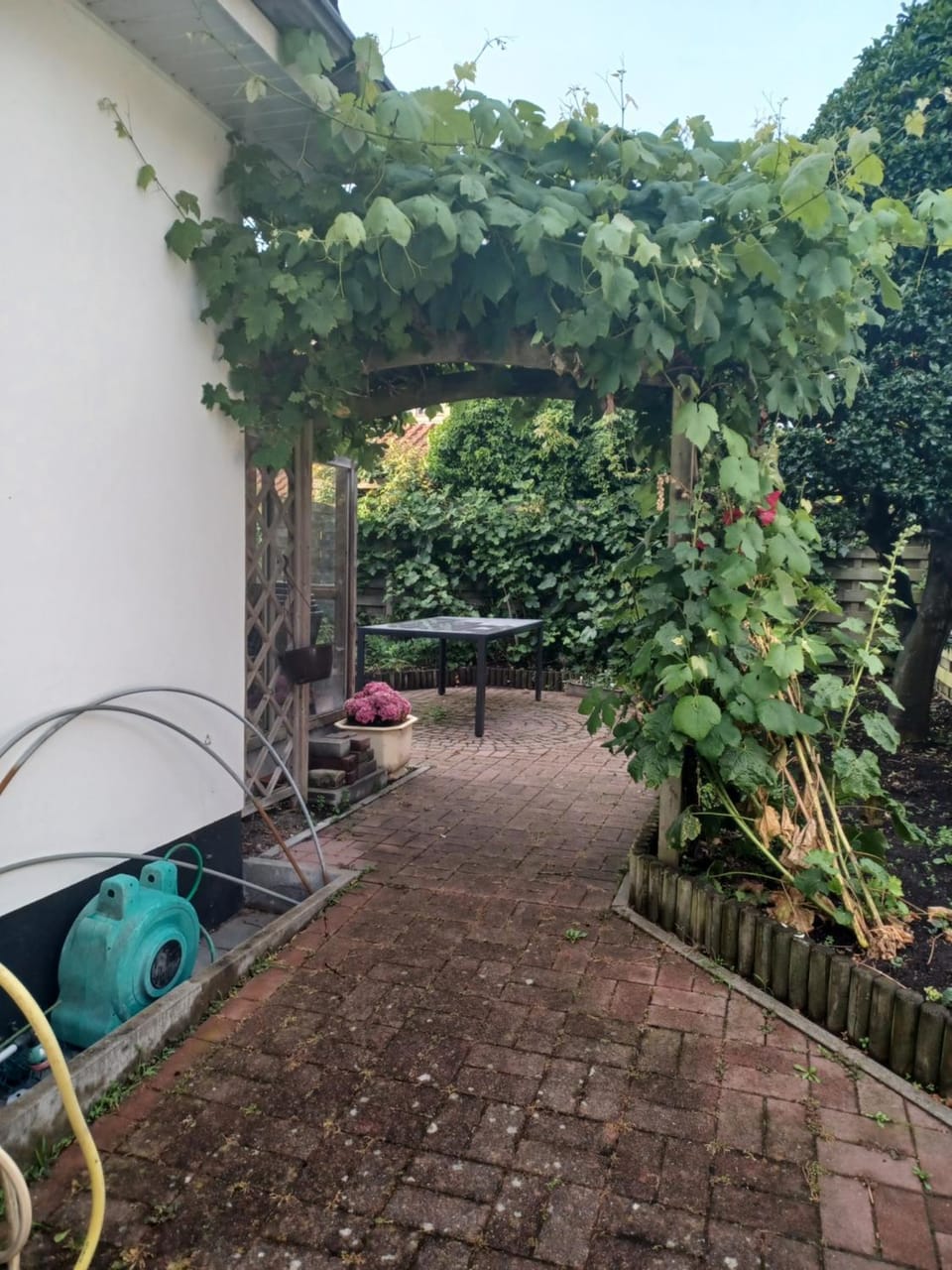 Villa Elsjes Droom House in Koksijde