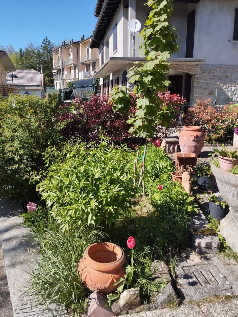 Garden, Garden view