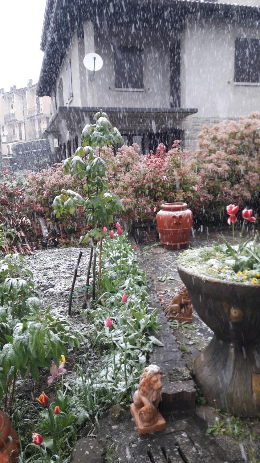 Spring, Garden