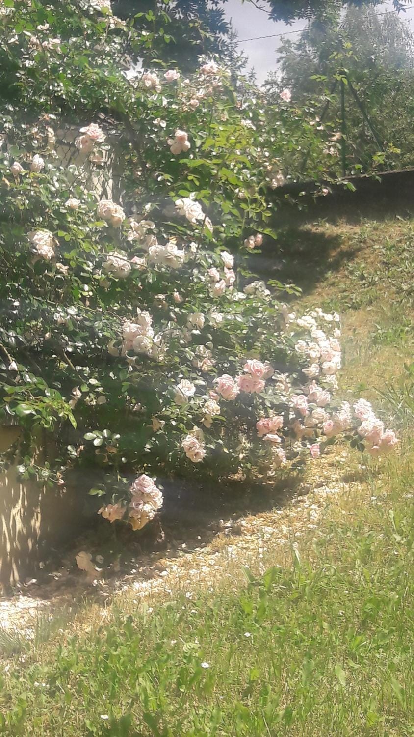 Spring, Garden view