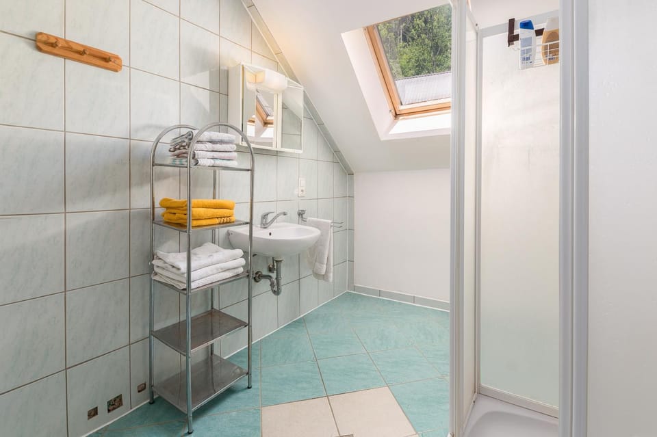Shower, Toilet, Bathroom, towels