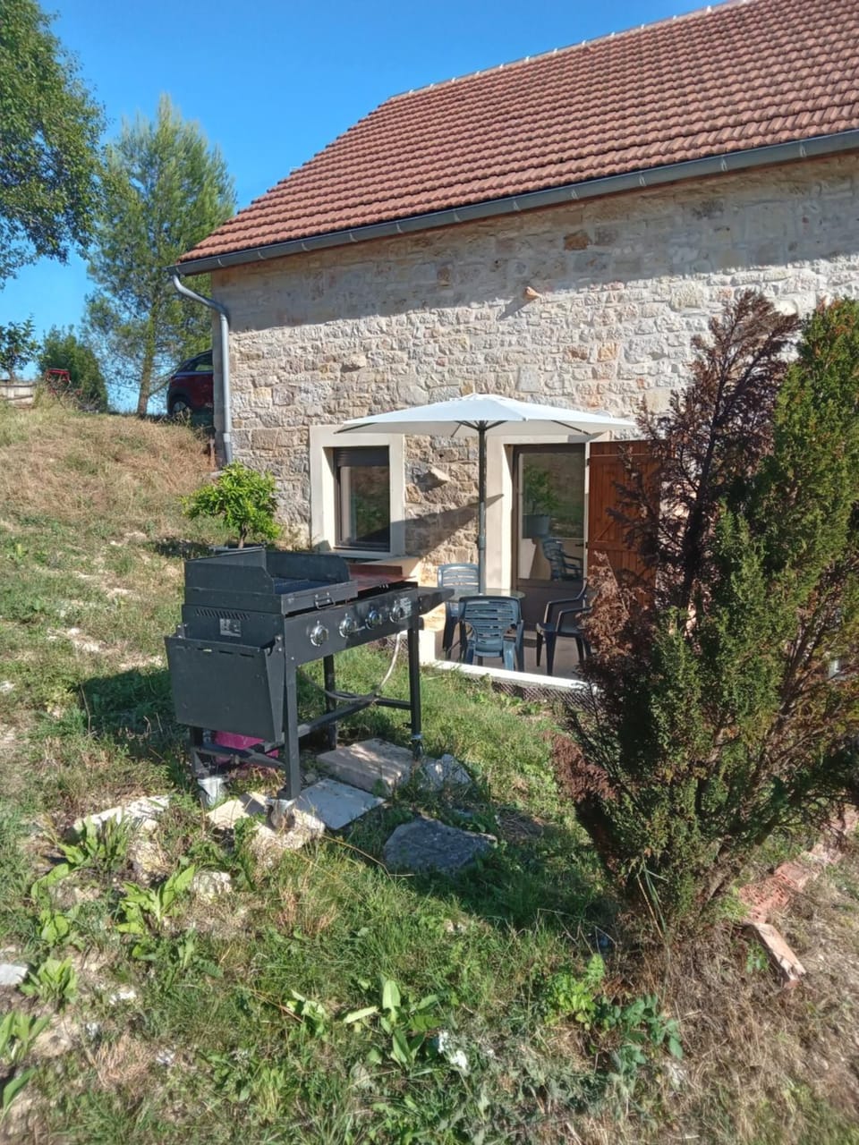 Patio, Garden