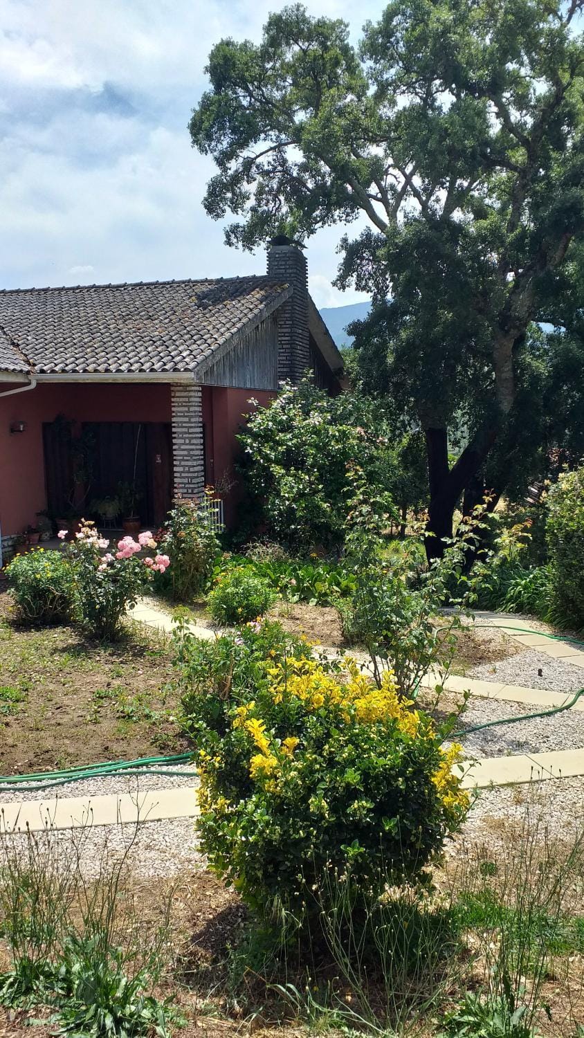 vivenda do Sobreiro AL Vacation rental in Coimbra District, Portugal