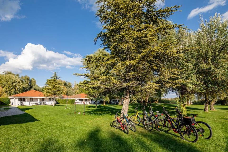Natural landscape, Garden, Cycling