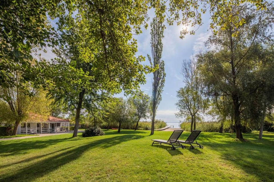 Natural landscape, Garden, Garden view