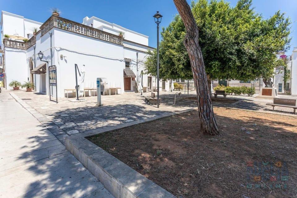 Property building, Spring, Day, Neighbourhood, Natural landscape, Street view, Location