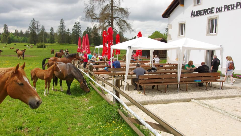 Auberge du Peu-Péquignot Inn in Canton of Bern (Region)