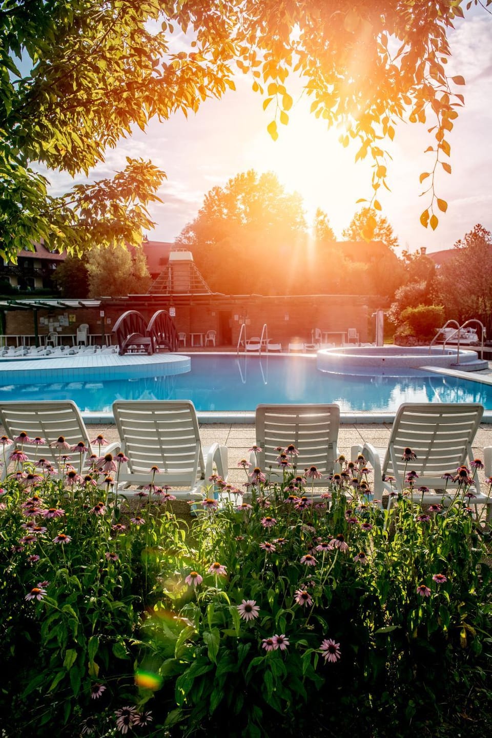 Property building, Garden, Beach, Pool view, Swimming pool
