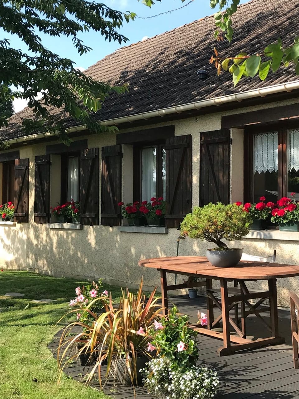 Property building, Patio, Garden