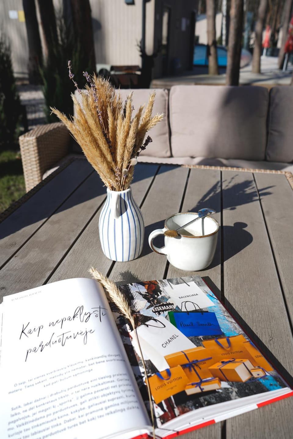Žalia kopa with pool Villa in Palanga