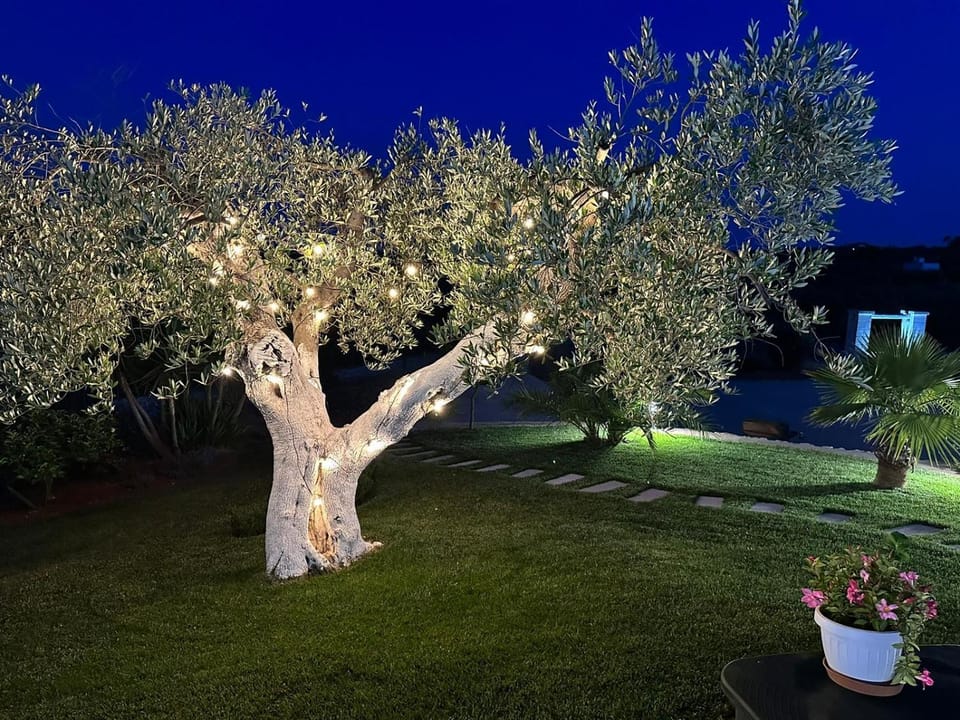 Garden, Garden view