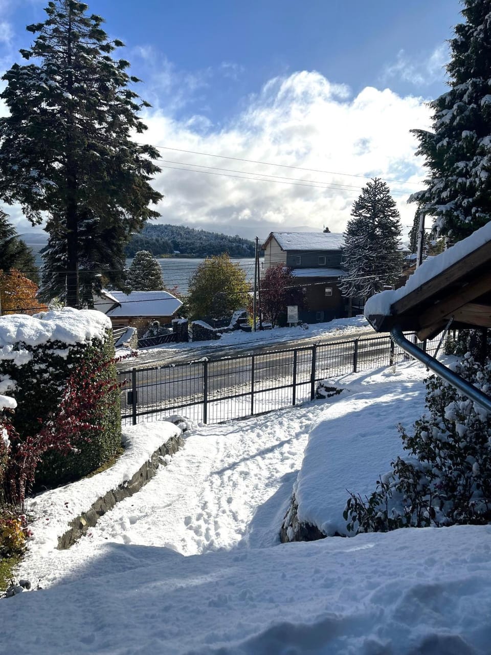 Natural landscape, Winter